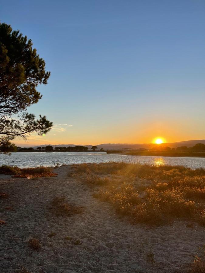 T2 Avec Terrasse, Vue Etang Et Son Coucher De Soleil, Plage A Proximite, Wifi Et Place De Parking Gratuit Que L On Nomme Puesta De Sol Le Barcarès Exterior foto